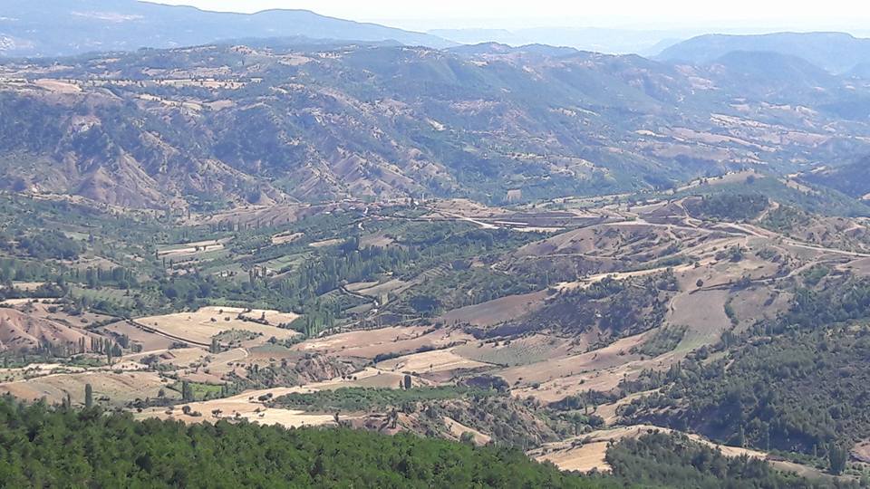 Turgay Asmalıkaya 9 Temmuz 2016 20